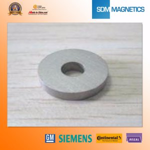 14 Years Experience ISO/Ts16949 Certificated SmCo Magnet