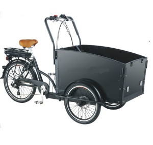 Family Cargo Tricycle with Pedicab